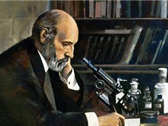 Santiago Ramón y Cajal: Người đầu tiên lập bản đồ não người